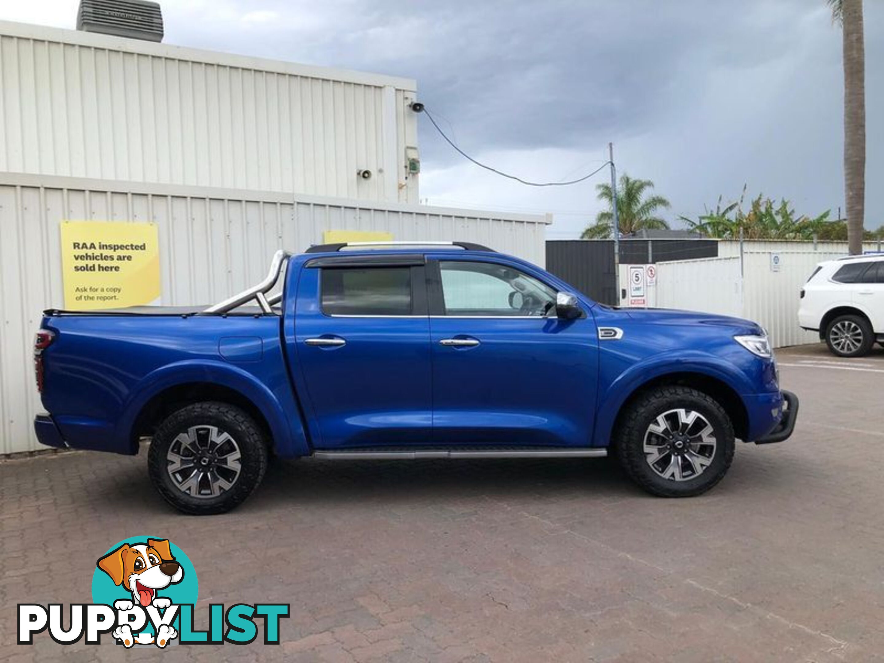 2021 GWM Ute Cannon-L NPW Ute