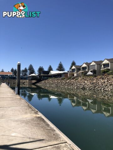 Lot C4 - Refuge Cove/5a Alexa Road NORTH HAVEN SA 5018
