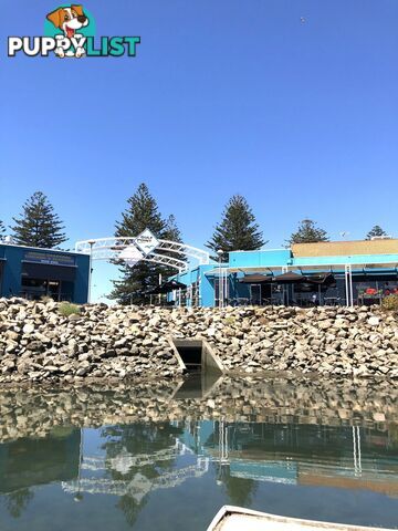 Lot C4 - Refuge Cove/5a Alexa Road NORTH HAVEN SA 5018