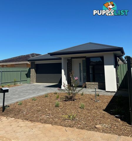 45 Edward Street PARALOWIE SA 5108