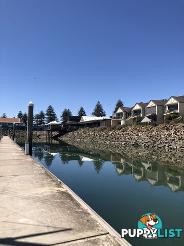 Lot D38-9.5m Ref. Cove/5a Alexa Road NORTH HAVEN SA 5018