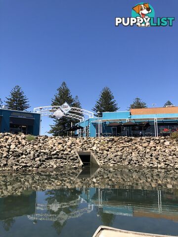 Lot D38-9.5m Ref. Cove/5a Alexa Road NORTH HAVEN SA 5018