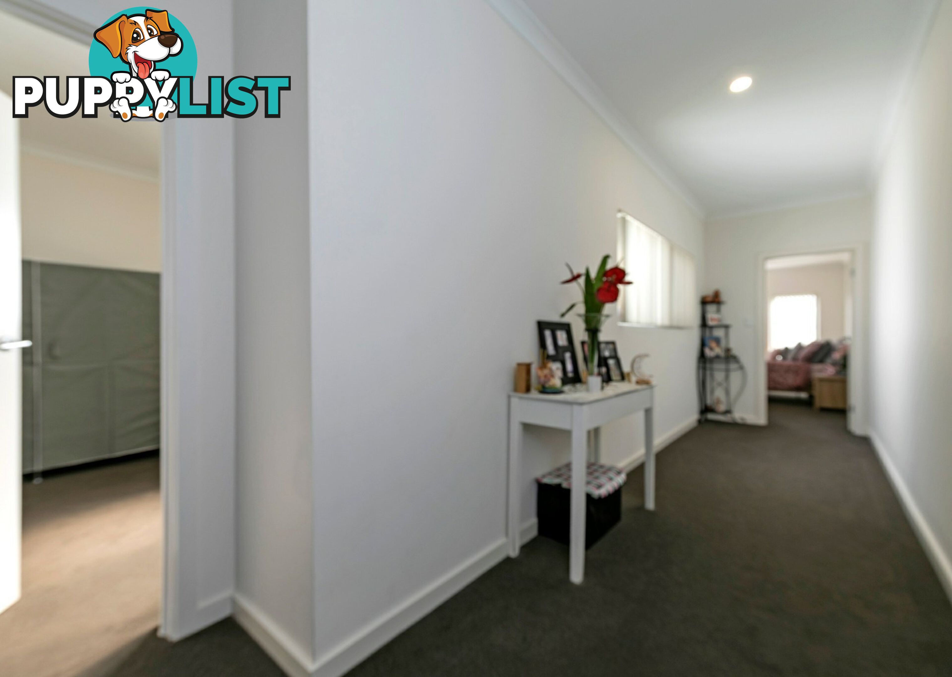 57 Gedville Road TAPEROO SA 5017
