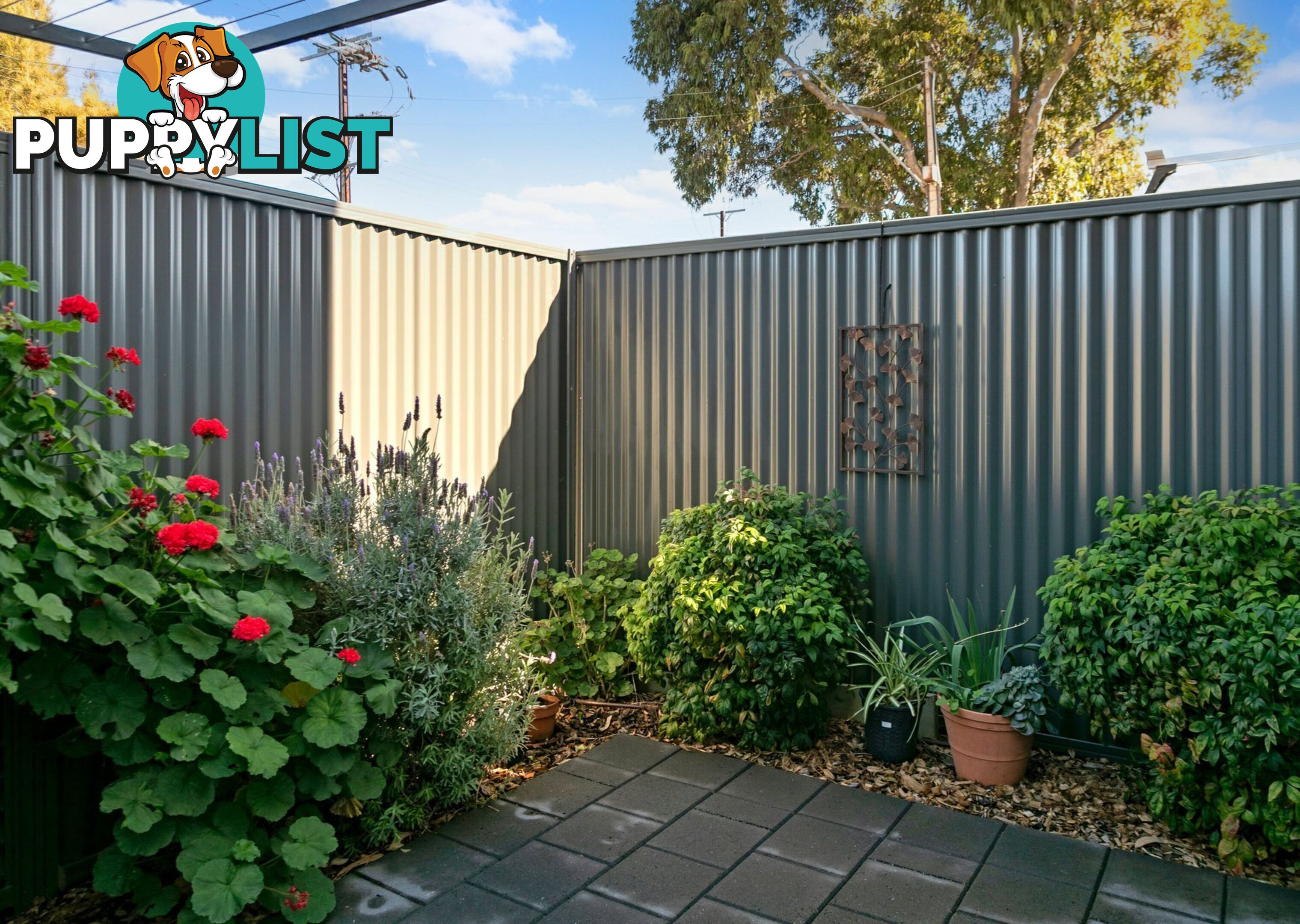 57 Gedville Road TAPEROO SA 5017