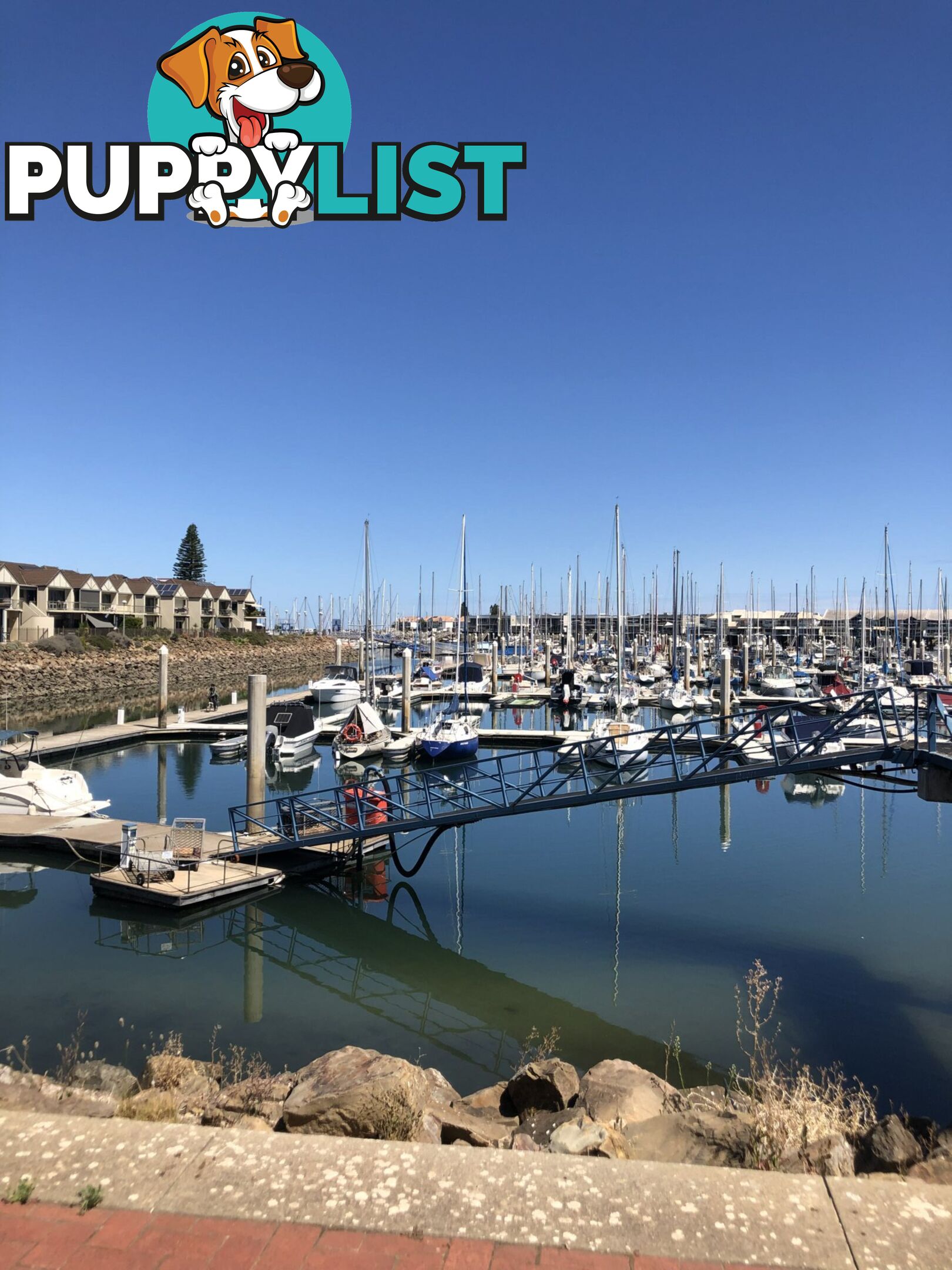 Lot D5-11.25m Ref. Cove/5a Alexa Road NORTH HAVEN SA 5018