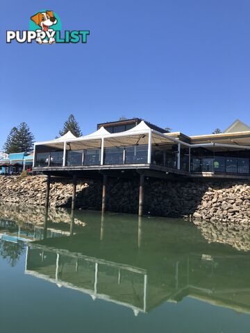 Lot D5-11.25m Ref. Cove/5a Alexa Road NORTH HAVEN SA 5018