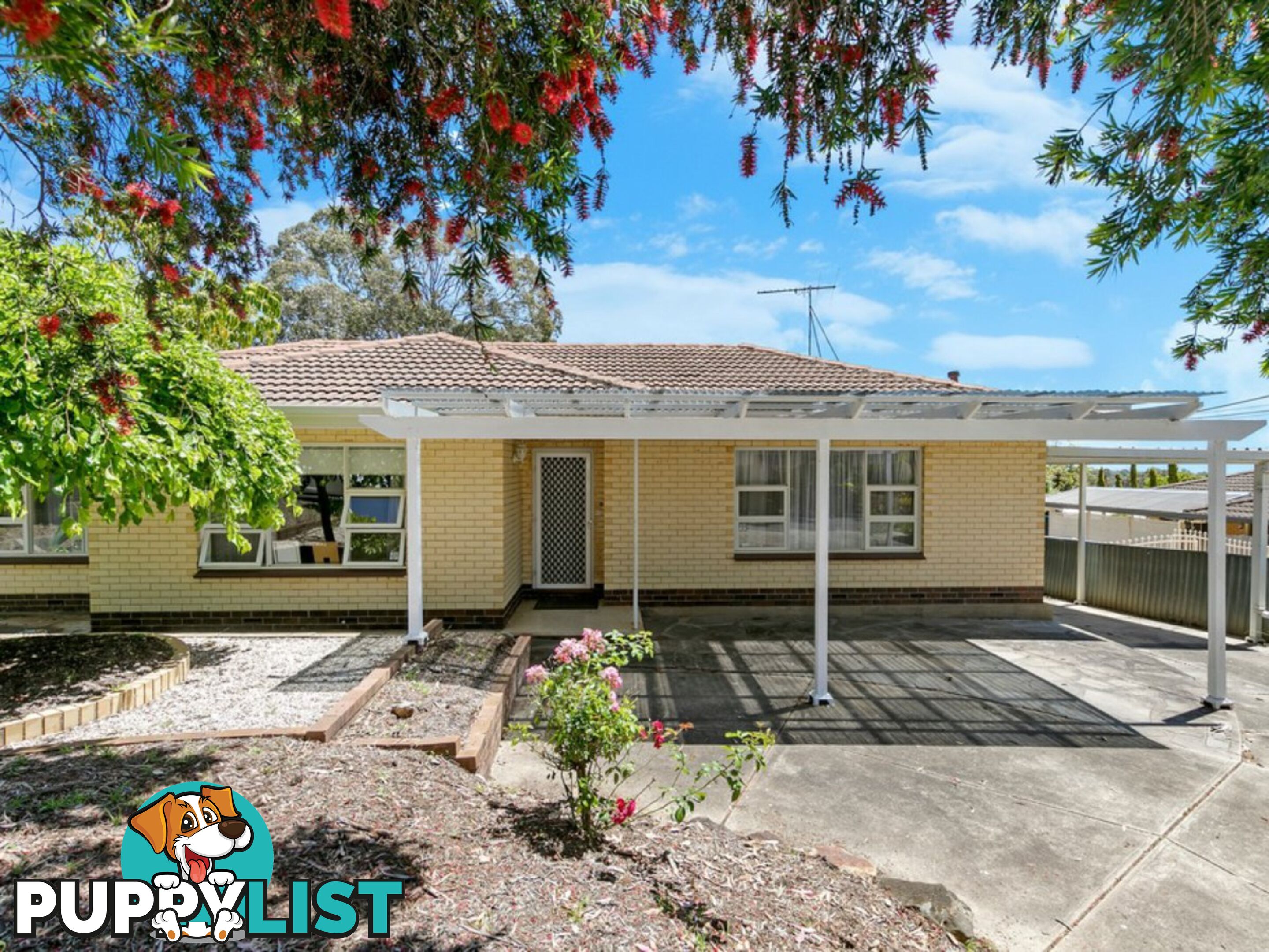 14 Euroa Avenue BANKSIA PARK SA 5091