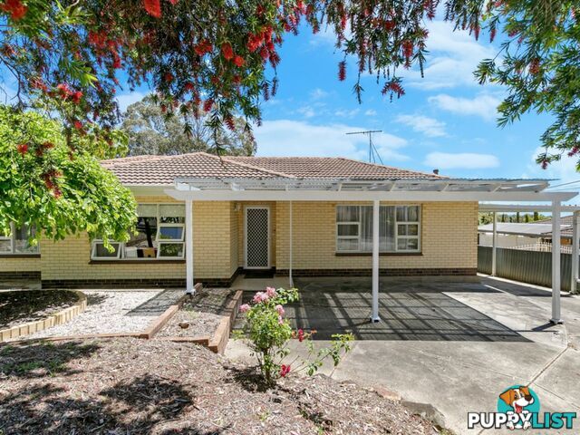 14 Euroa Avenue BANKSIA PARK SA 5091