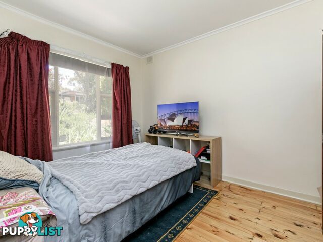 14 Euroa Avenue BANKSIA PARK SA 5091