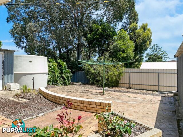 14 Euroa Avenue BANKSIA PARK SA 5091