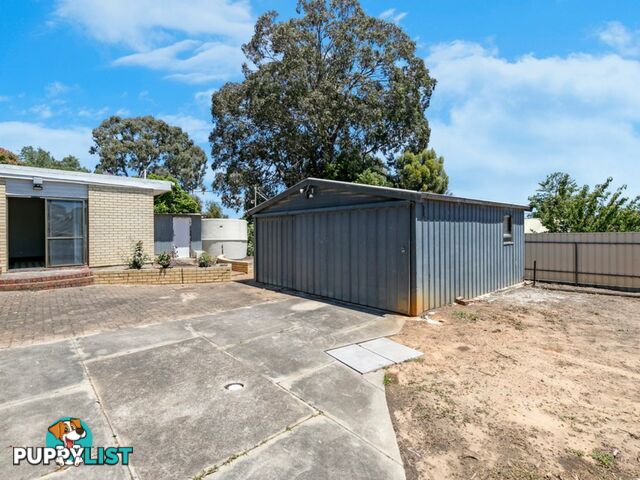 14 Euroa Avenue BANKSIA PARK SA 5091