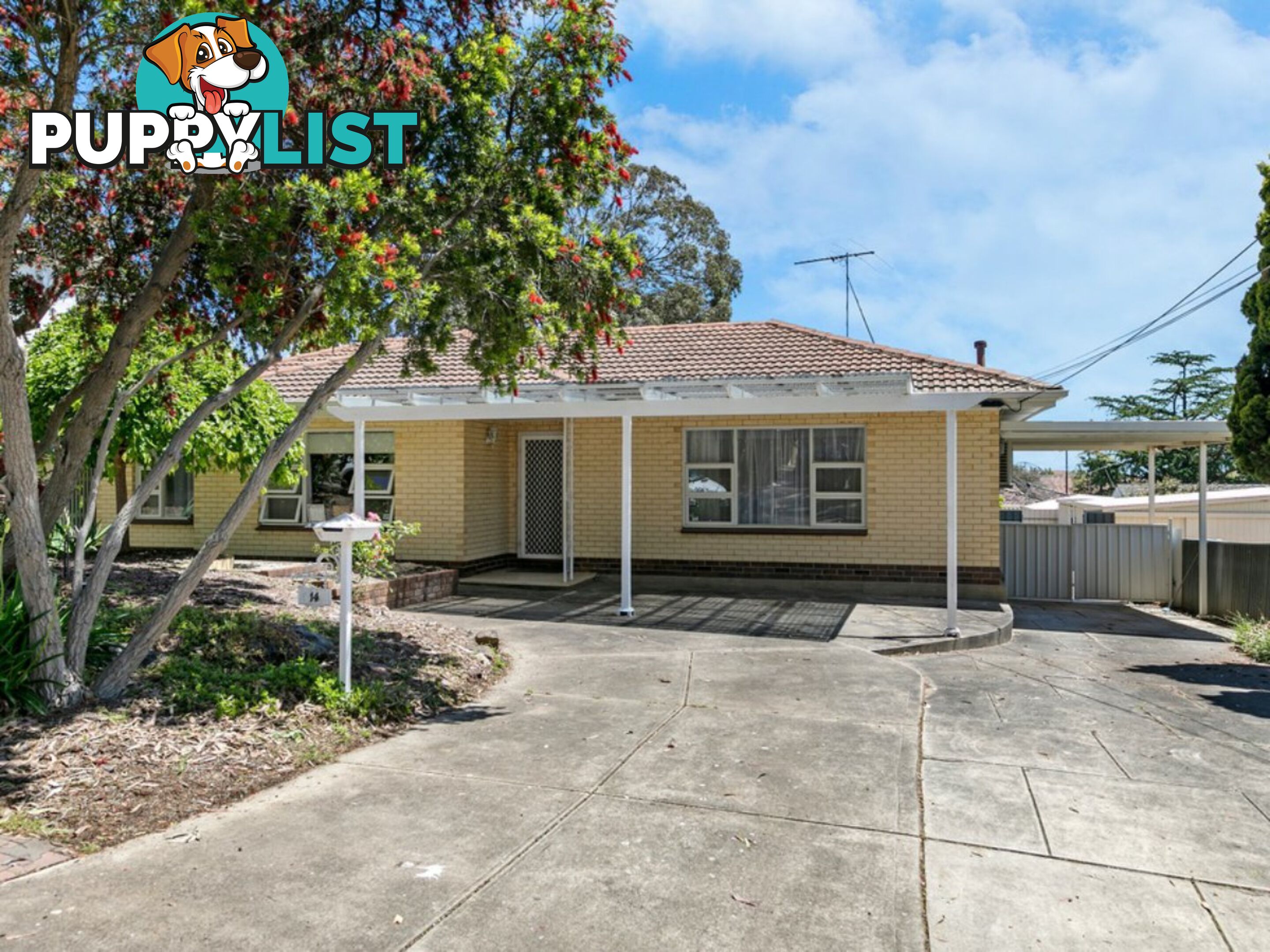 14 Euroa Avenue BANKSIA PARK SA 5091