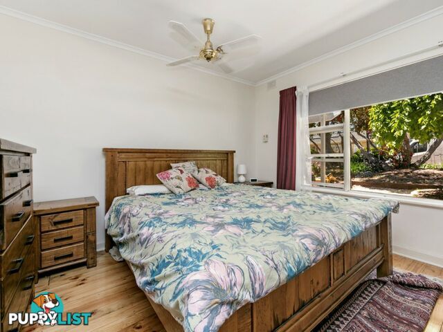 14 Euroa Avenue BANKSIA PARK SA 5091