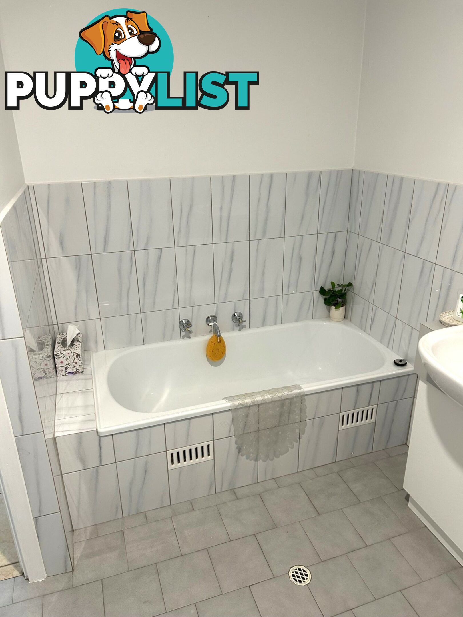 Unit 2/12 Arcadia Court NORTH HAVEN SA 5018