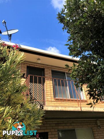 Unit 5/1A Darebin Street MILE END SA 5031