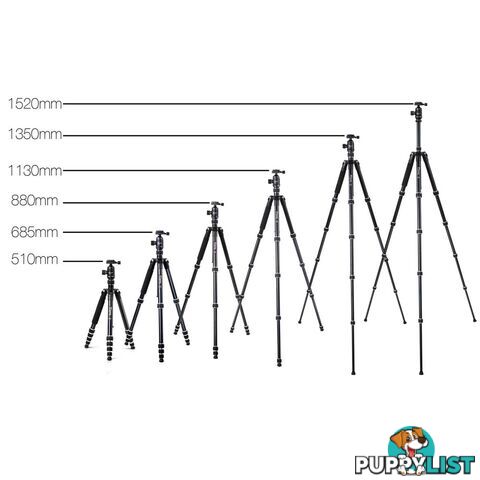 Professional 2 IN 1 Monopod/Tripod Digital Camera 152cm