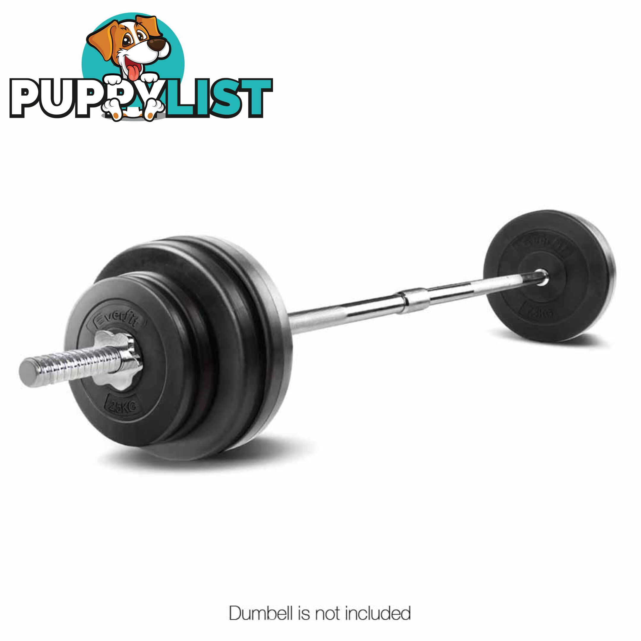 168CM Steel Weight Barbell with Spring Collars