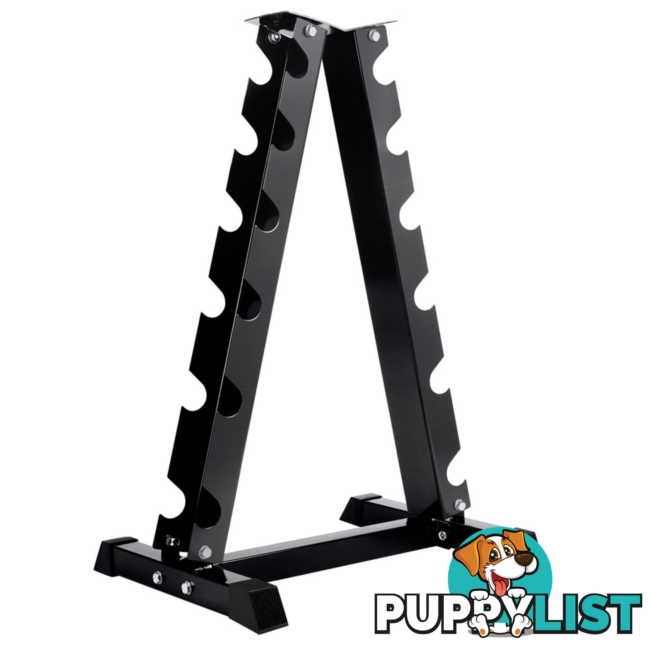 Vertical Dumbbell Storage Rack 6 Pairs