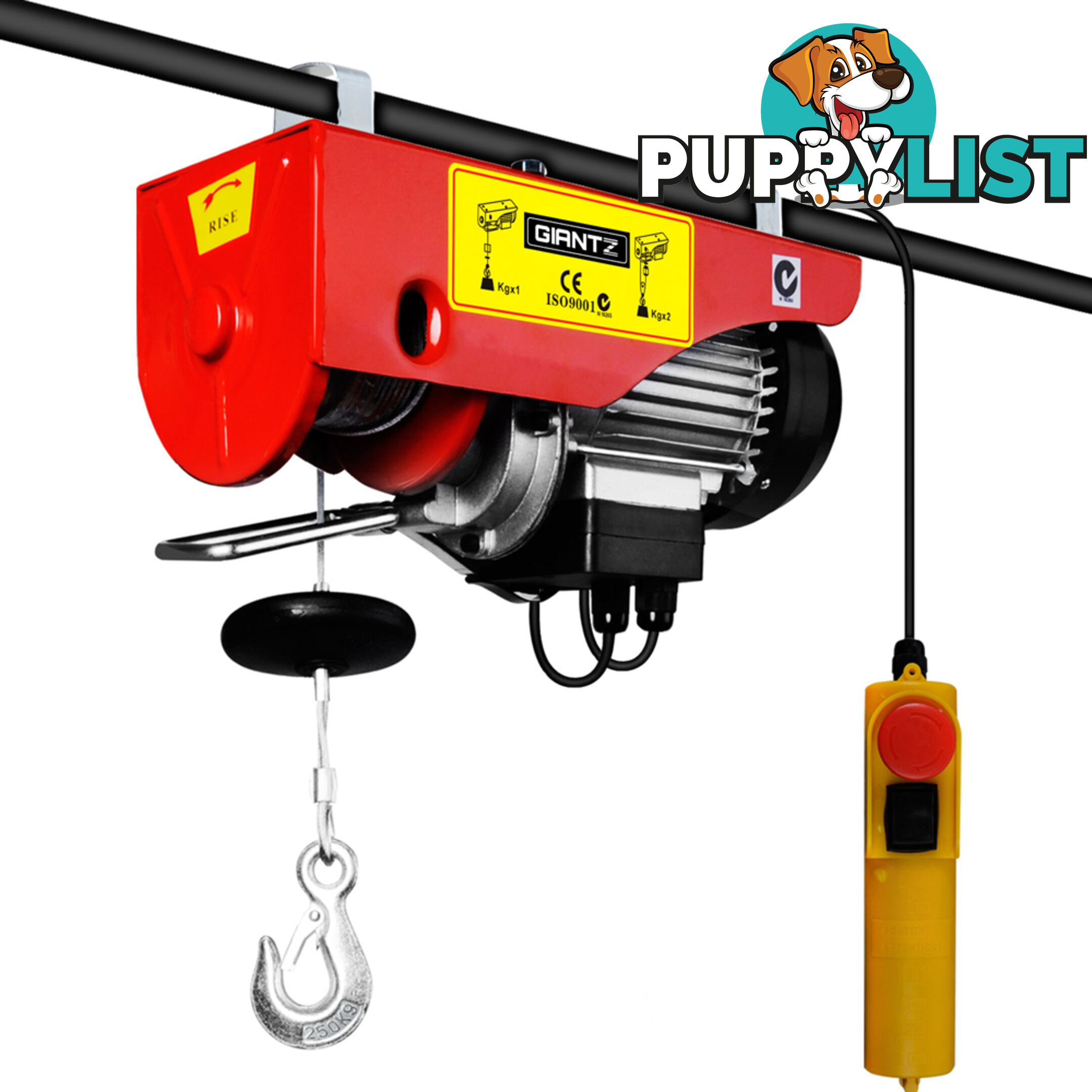 125/250kg 510 W Electric Hoist Winch