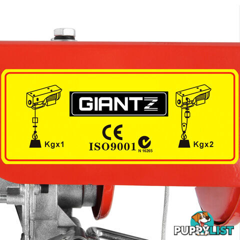 125/250kg 510 W Electric Hoist Winch