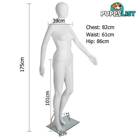 Full Body Female Mannequin Cloth Display Tailor Dressmaker Egg Head White 175cm