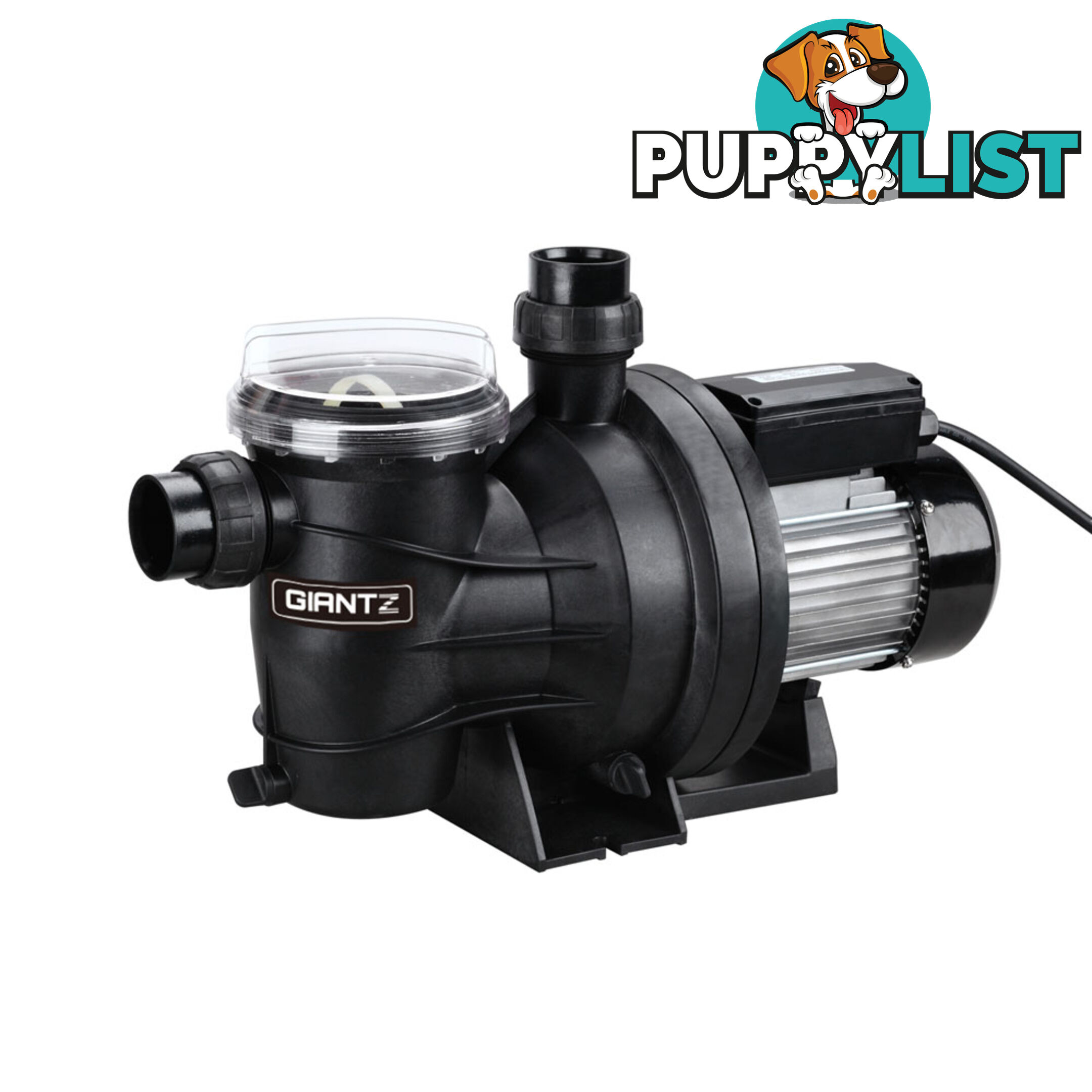 1200w Swimming Pool Pump 23000L/hour