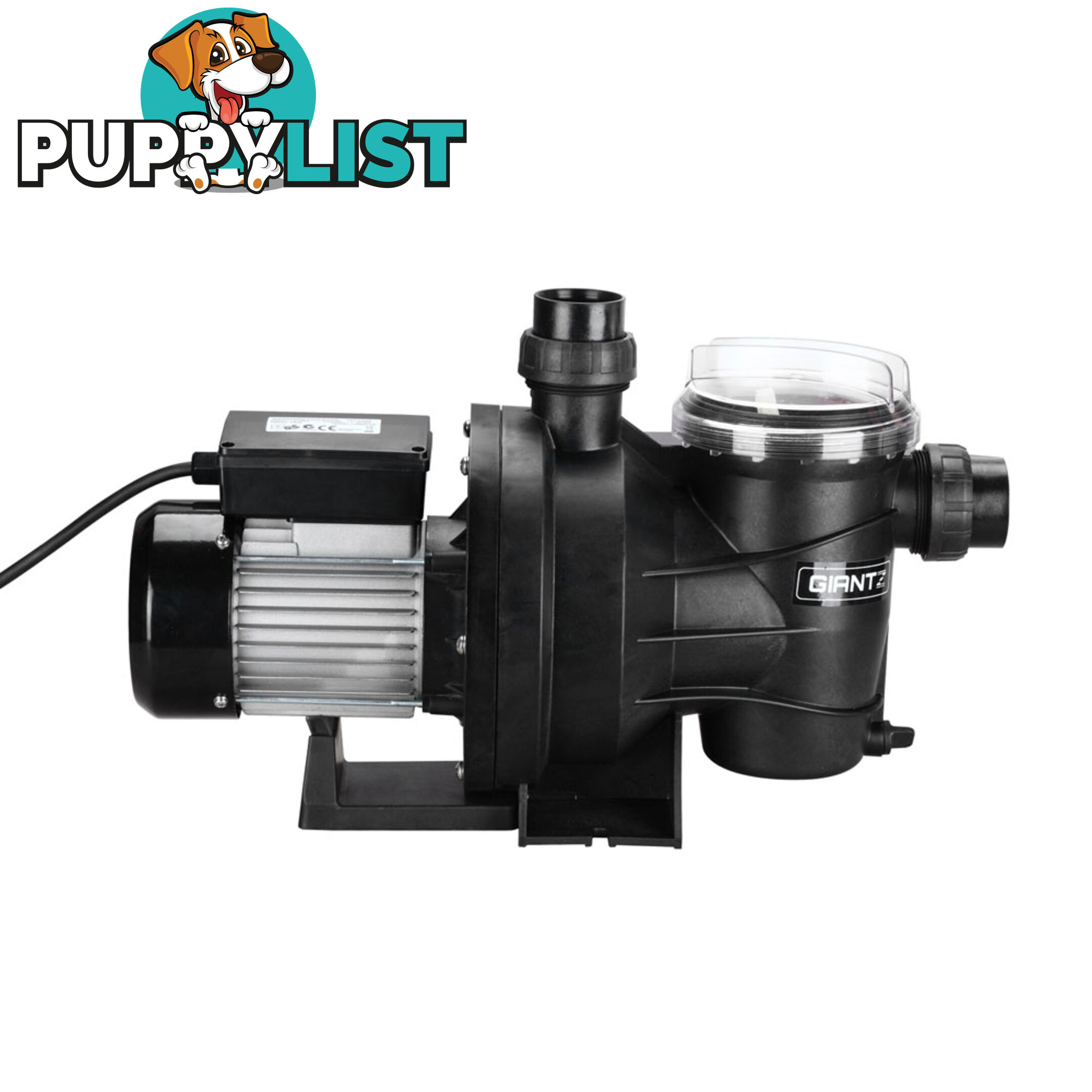 1200w Swimming Pool Pump 23000L/hour