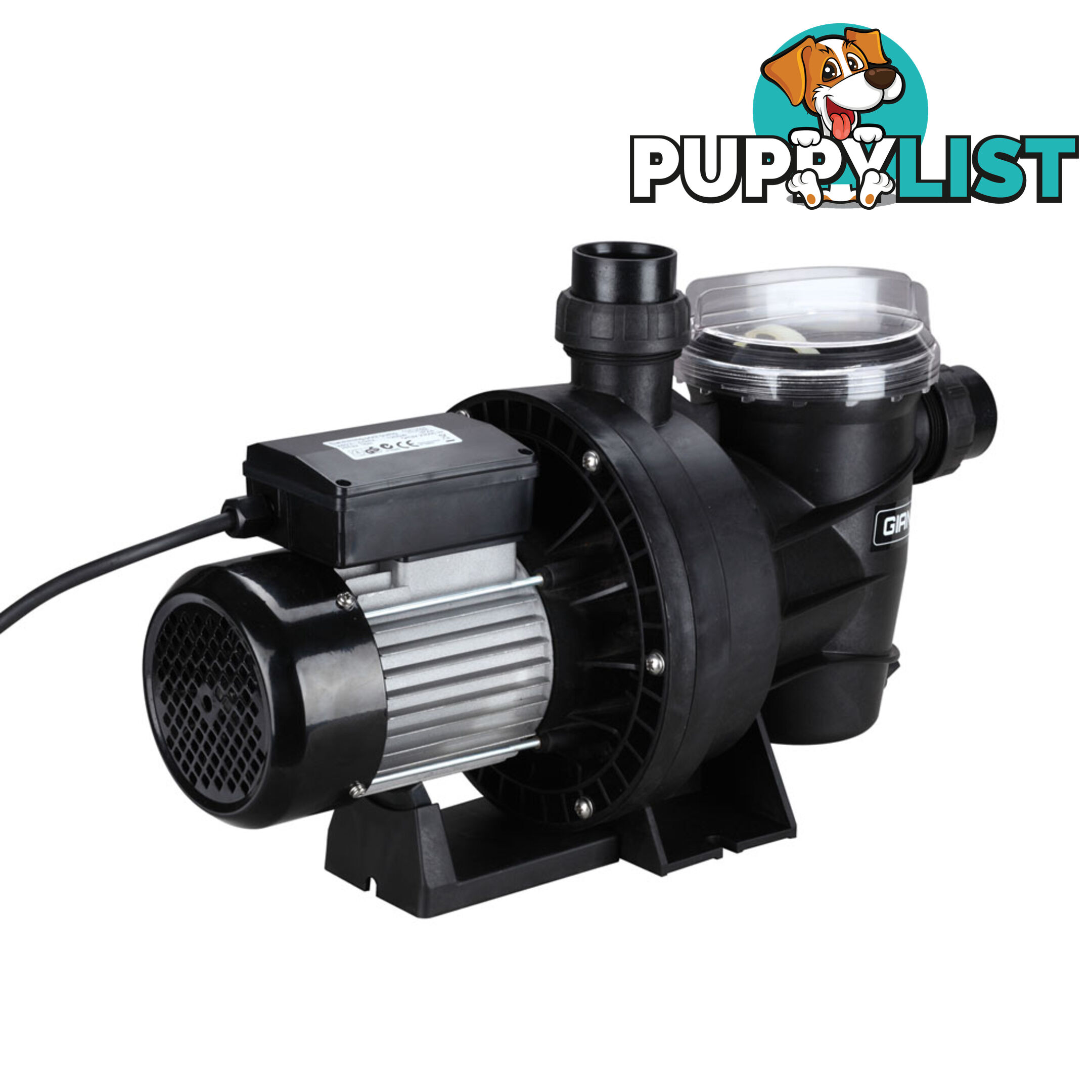 1200w Swimming Pool Pump 23000L/hour