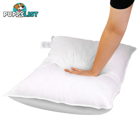 2 Pcs Duck Feathers Down Pillow w/ Bag