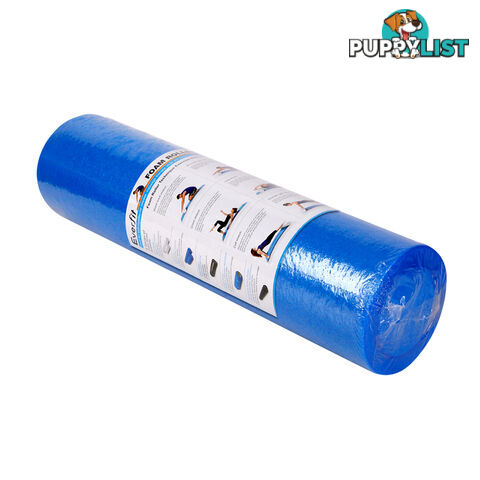 Yoga Gym Pilates EPE Stick Foam Roller Blue 45 x 15cm