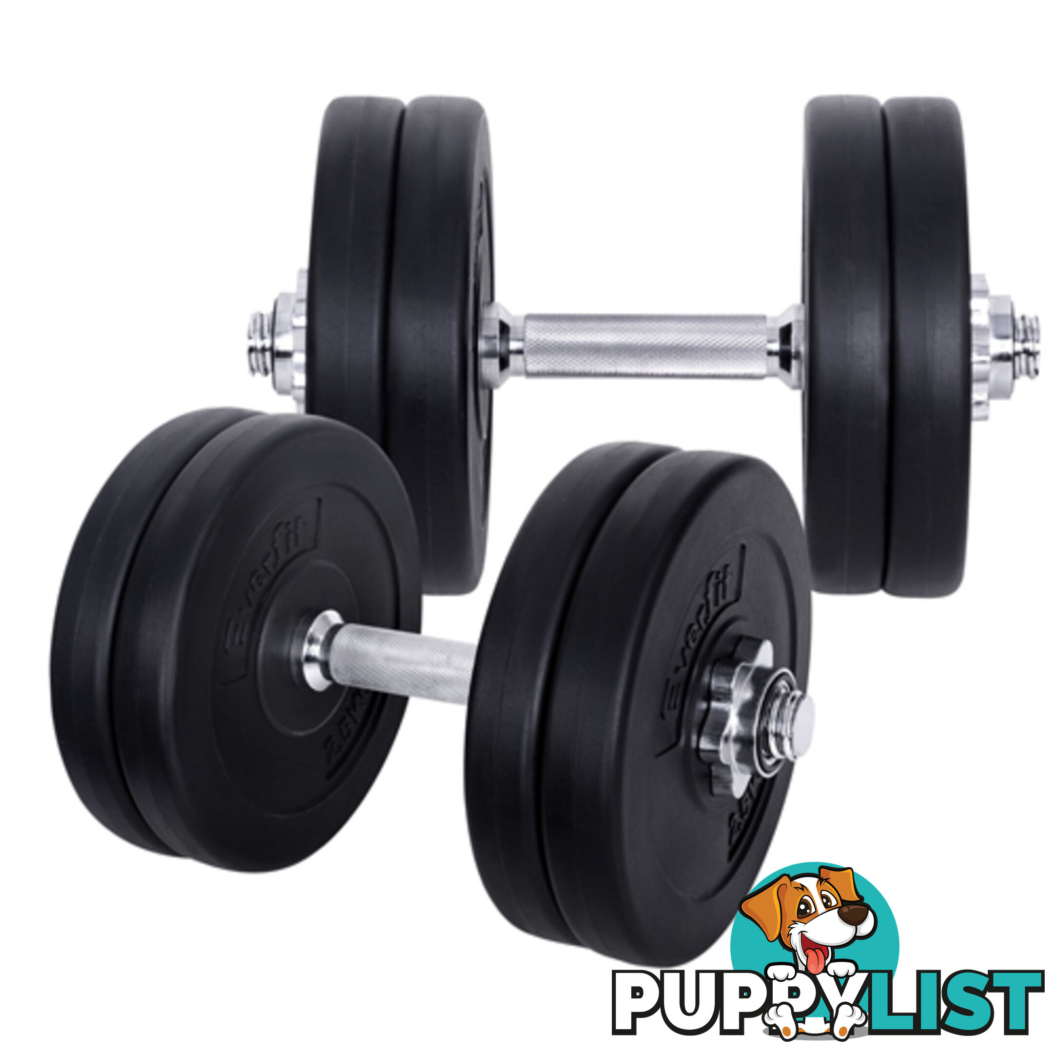 25kg Fitness Gym Exercise Dumbbell Set