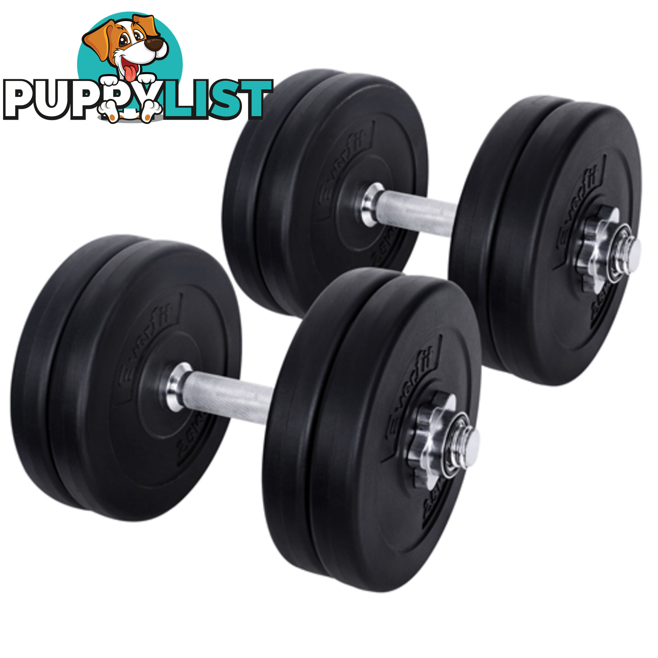 25kg Fitness Gym Exercise Dumbbell Set