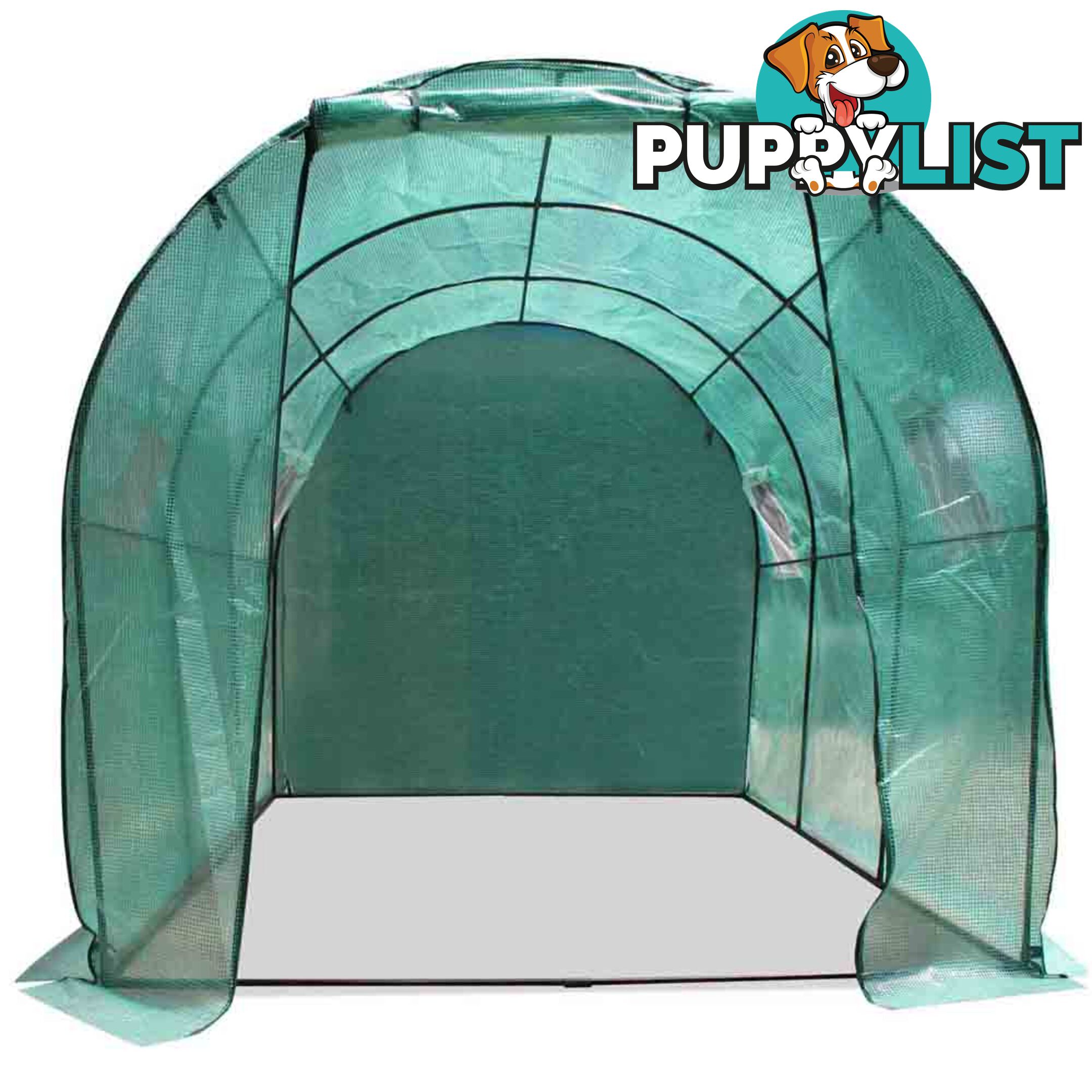 Greenhouse with Green PE Cover - 3M x 2M