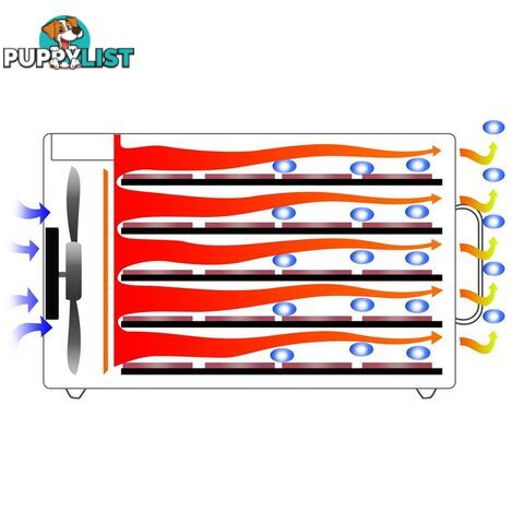 Stainless Steel Food Dehydrator _ 10 Trays