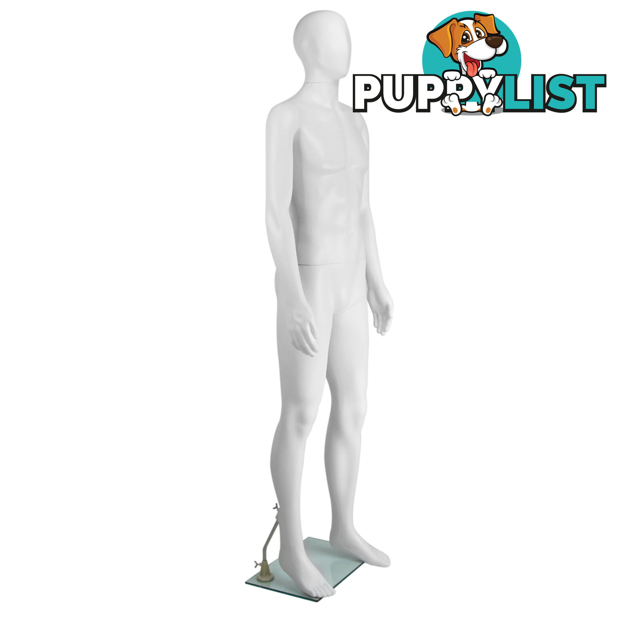 Full Body Male Mannequin Cloth Display Tailor Dressmaker White 186cm