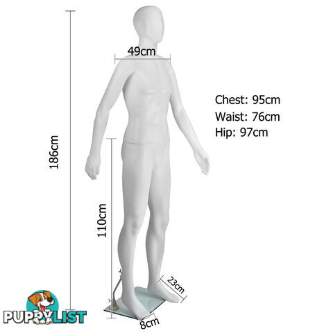 Full Body Male Mannequin Cloth Display Tailor Dressmaker White 186cm