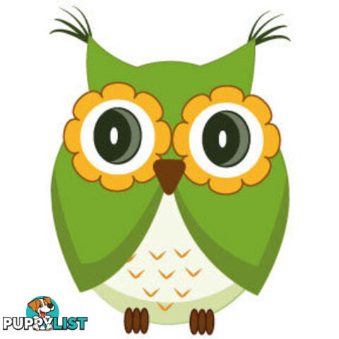 Cute green owl Wall Sticker - Totally Movable