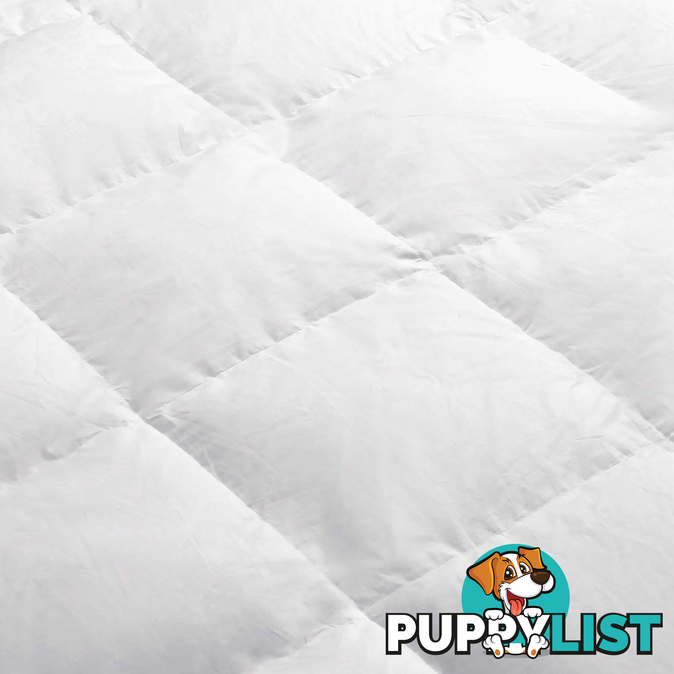 Goose Feather Down Quilt  - Queen