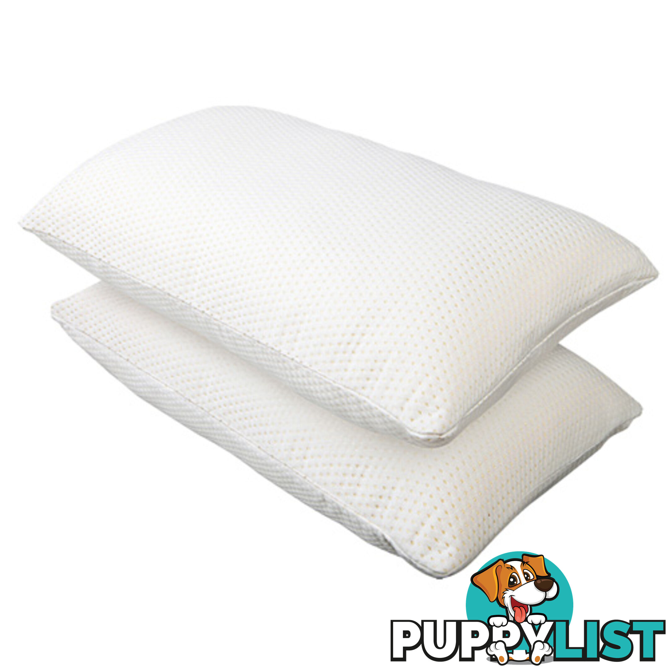 Set of 2 Memory Foam Pillows