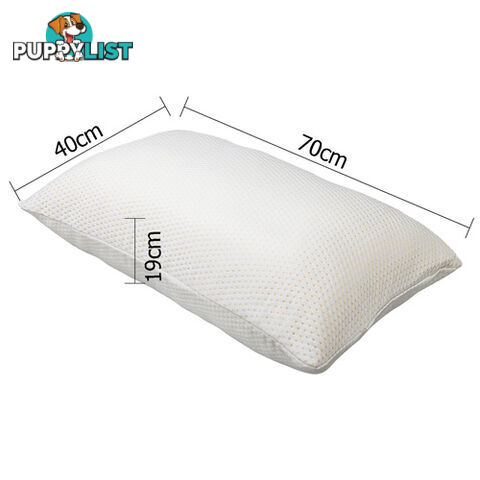 Set of 2 Memory Foam Pillows