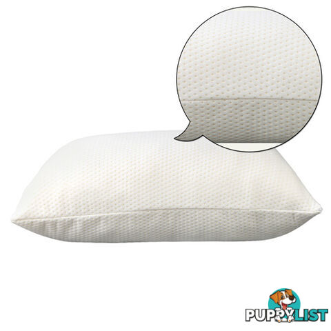 Set of 2 Memory Foam Pillows