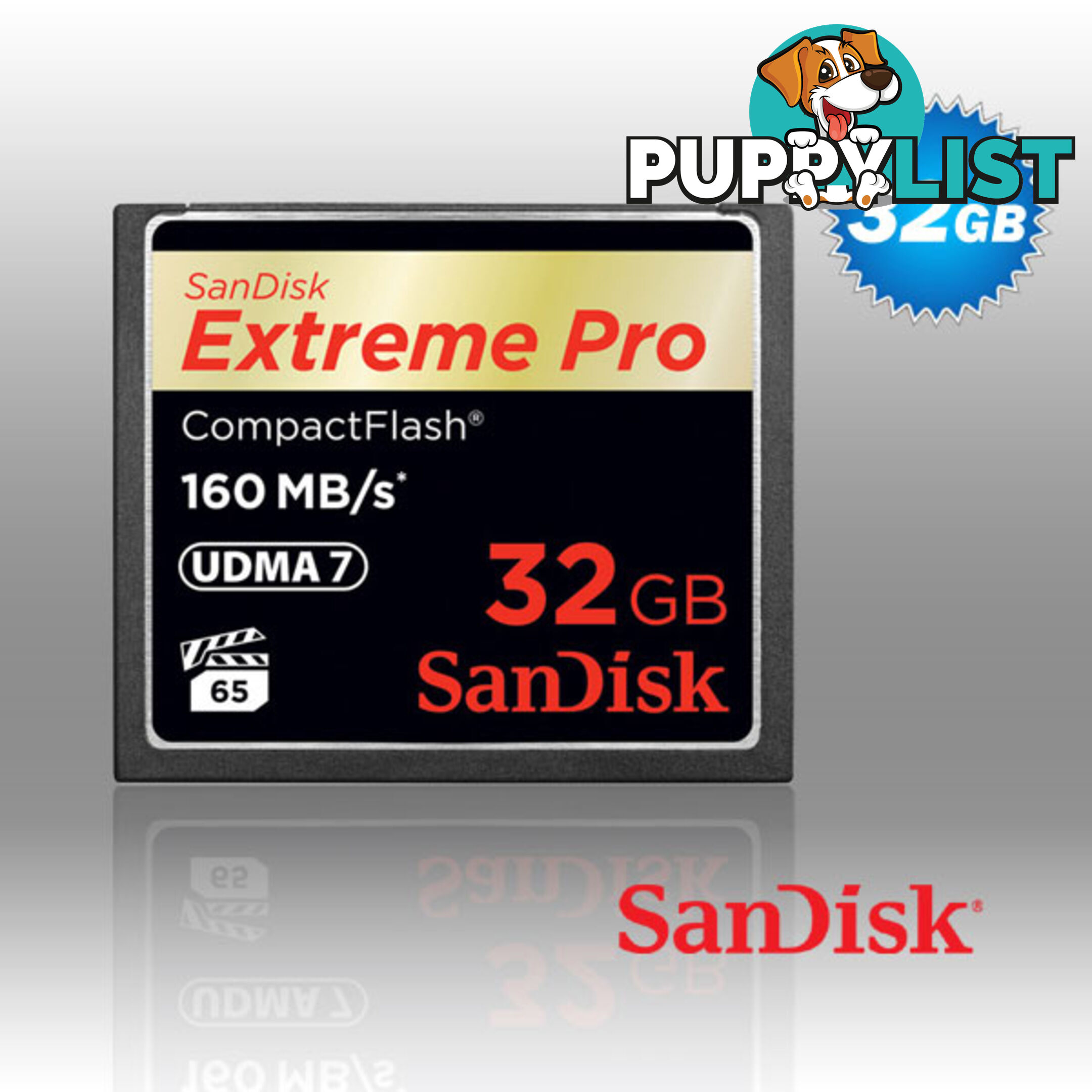 SanDisk Extreme Pro CFXP 32GB CompactFlash 160MB/s (SDCFXPS-032G)