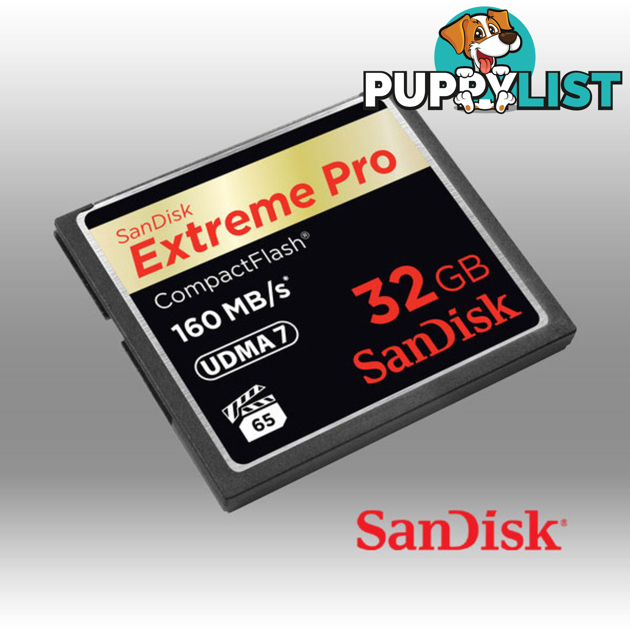 SanDisk Extreme Pro CFXP 32GB CompactFlash 160MB/s (SDCFXPS-032G)