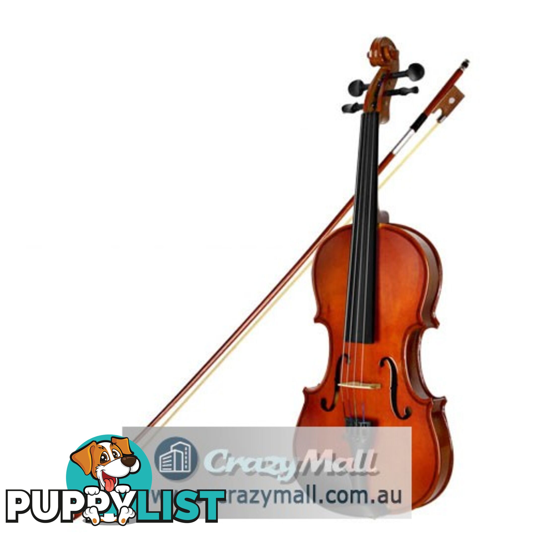 Full Size 4/4 Natural Wooden Beginner Violin Set Brown