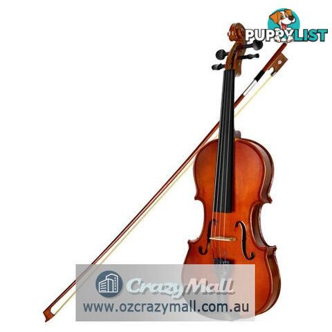 Full Size 4/4 Natural Wooden Beginner Violin Set Brown