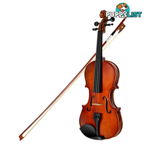 Full Size 4/4 Natural Wooden Beginner Violin Set Brown