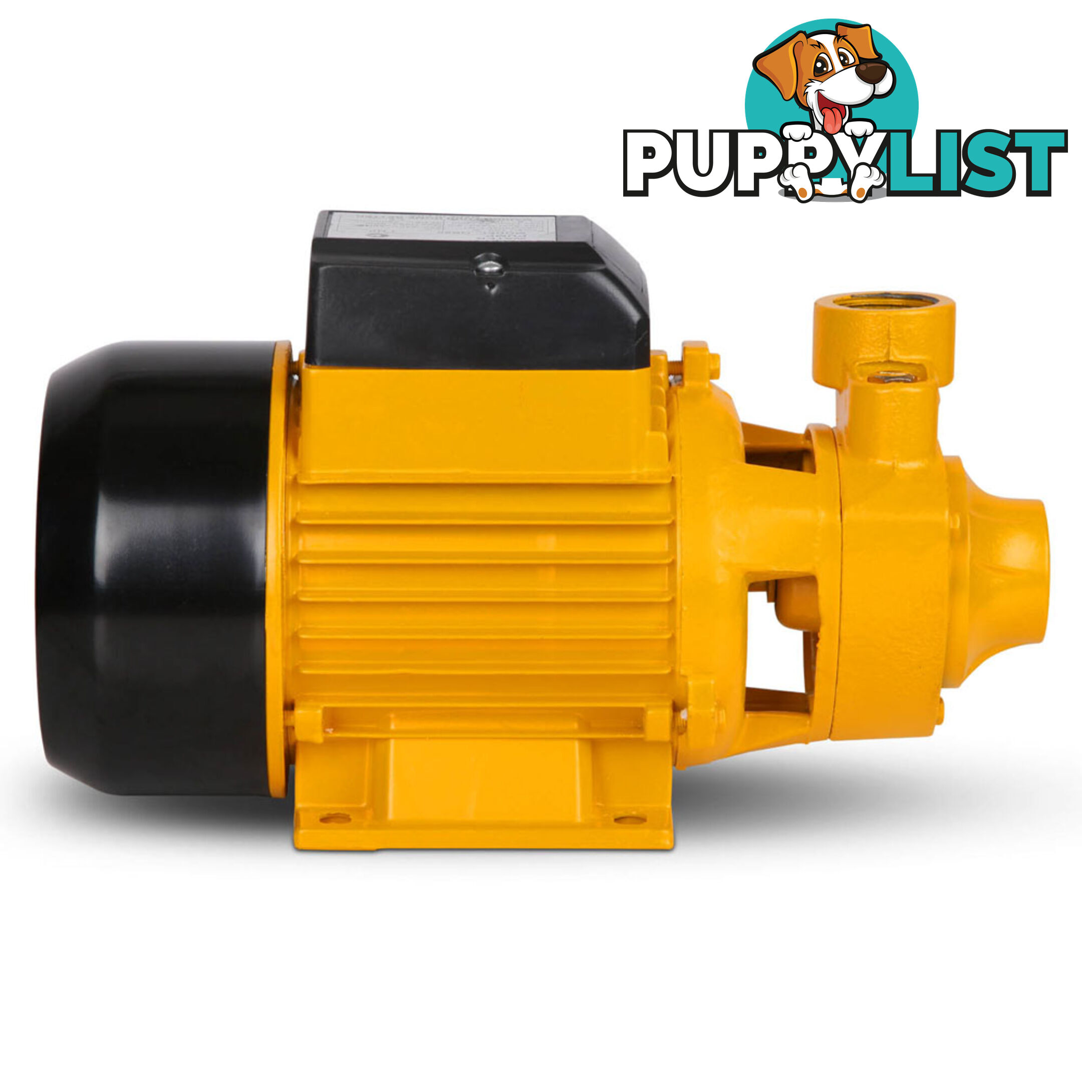 Electric Clean Water Pump 3300L/Hour 1/HP