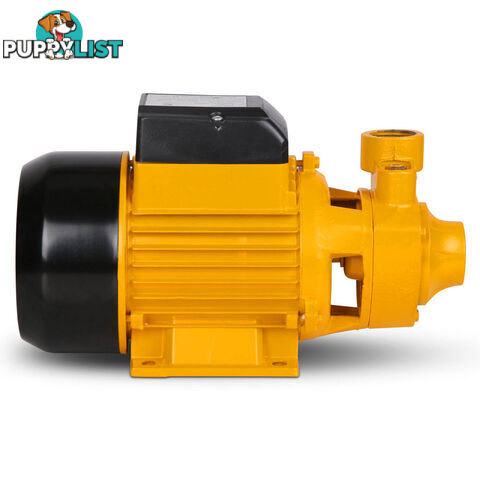 Electric Clean Water Pump 3300L/Hour 1/HP