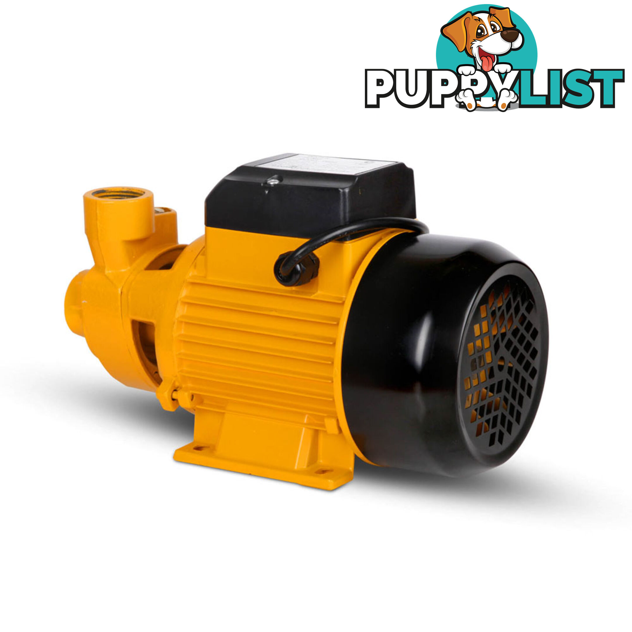 Electric Clean Water Pump 3300L/Hour 1/HP