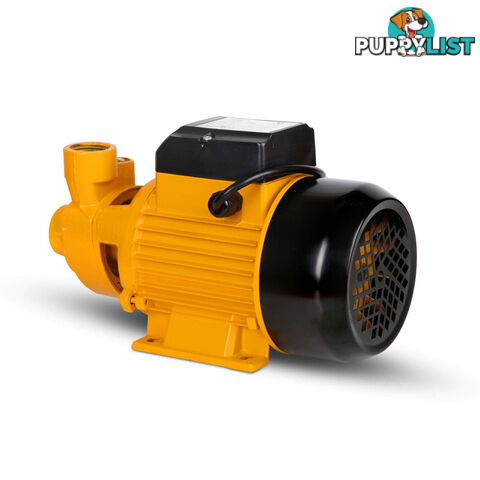 Electric Clean Water Pump 3300L/Hour 1/HP